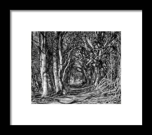 England Framed Print featuring the photograph Through the Tunnel BW 16x20 by Leah Palmer