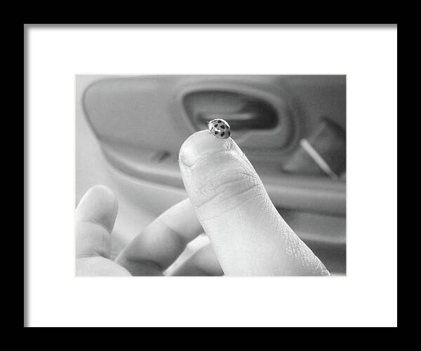 Ladybug Framed Print featuring the photograph Thumb pet by WaLdEmAr BoRrErO