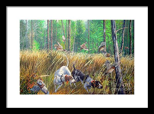 Thunder In The Pines- Bobwhite quail hunting Framed Print by Daniel Butler  - Pixels Merch