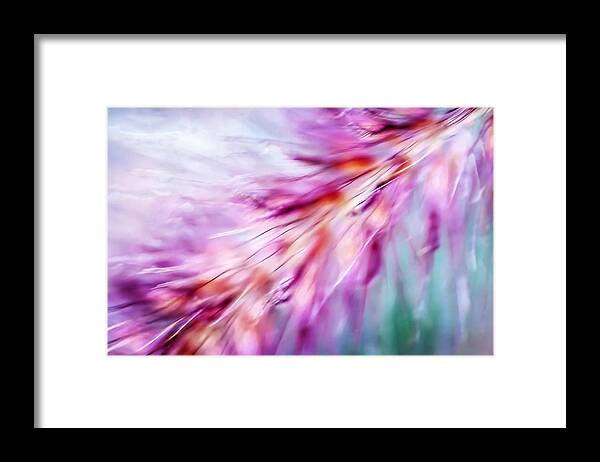 Abstract Framed Print featuring the photograph Tickle My Fancy by Carolyn Marshall