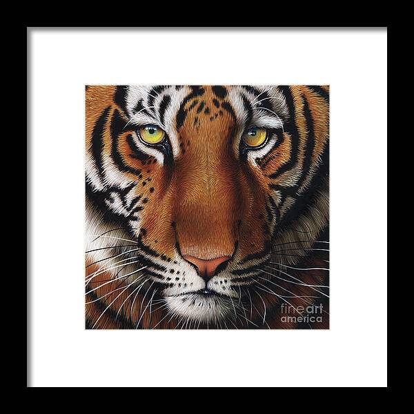 Tiger Framed Print featuring the painting Tiger 2 by Jurek Zamoyski
