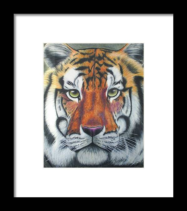 Tiger Framed Print featuring the drawing Tiger by Scarlett Royale