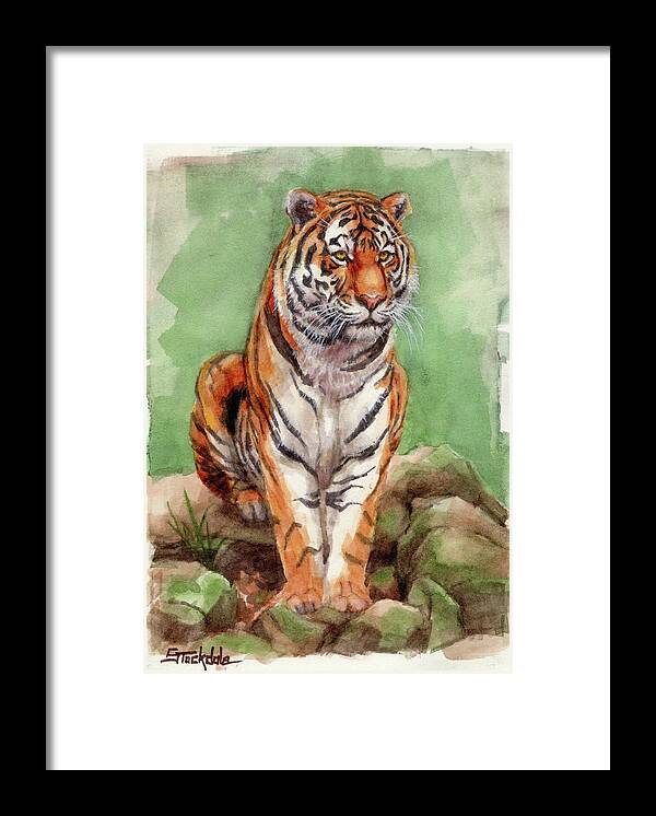 Tiger Framed Print featuring the painting Tiger Watercolor Sketch by Margaret Stockdale