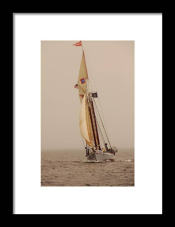 Seascape Framed Print featuring the photograph Timberwind by Doug Mills
