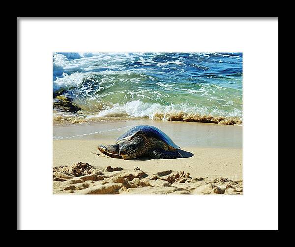 Sea Turtle Framed Print featuring the photograph Time for a Rest by Craig Wood