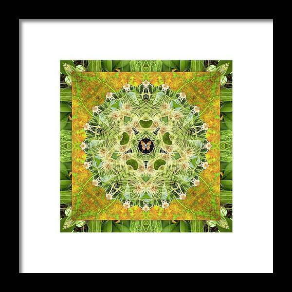 Yoga Art Framed Print featuring the photograph Time Lines by Bell And Todd