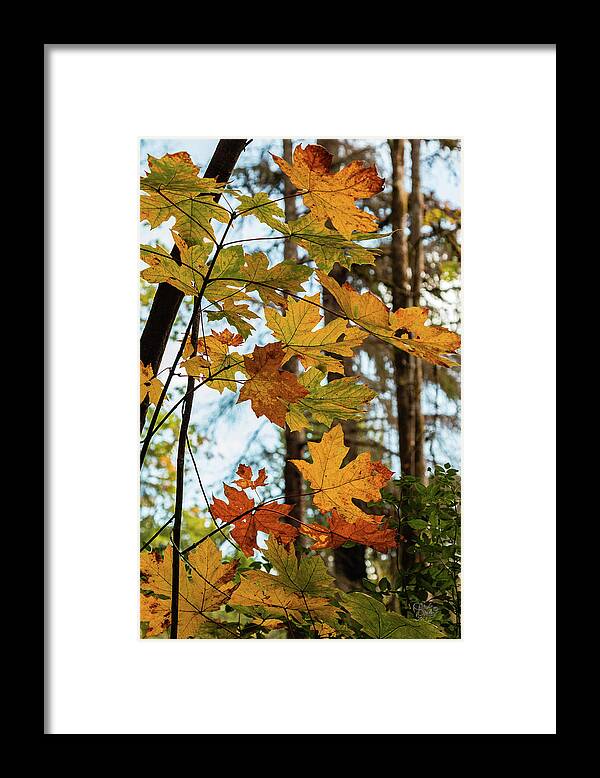 Landscapes Framed Print featuring the photograph Time Of Change by Claude Dalley