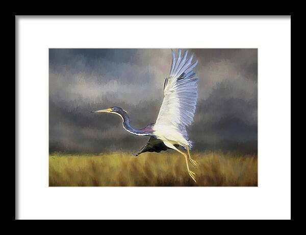 Tricoloured Heron Framed Print featuring the photograph Time To Go by Donna Kennedy
