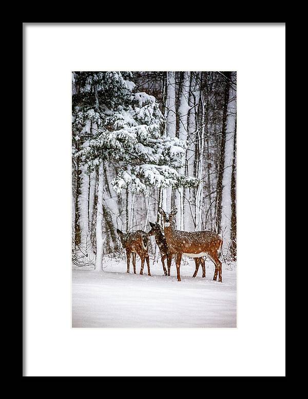 Time To Go Framed Print featuring the photograph Time To Go by Karol Livote