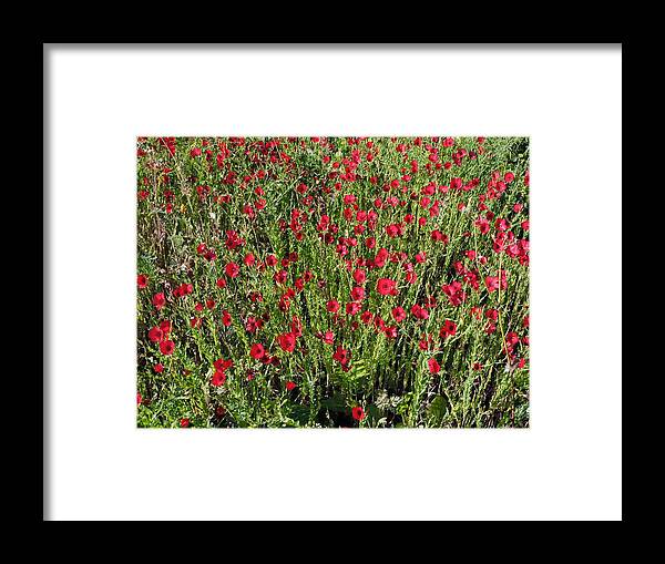 Red Framed Print featuring the photograph Tiny Red Petals by Tiffany Marchbanks