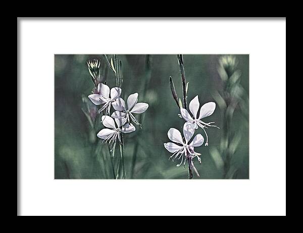 White Flowers Framed Print featuring the photograph Tiny Whites by Leda Robertson
