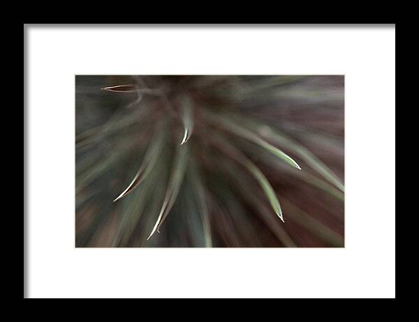 Edge Framed Print featuring the photograph Tips #2 by Jerry Griffin