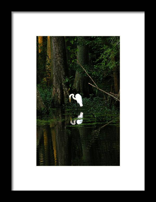 Crane Framed Print featuring the photograph Tiptoe 2 by Don Prioleau
