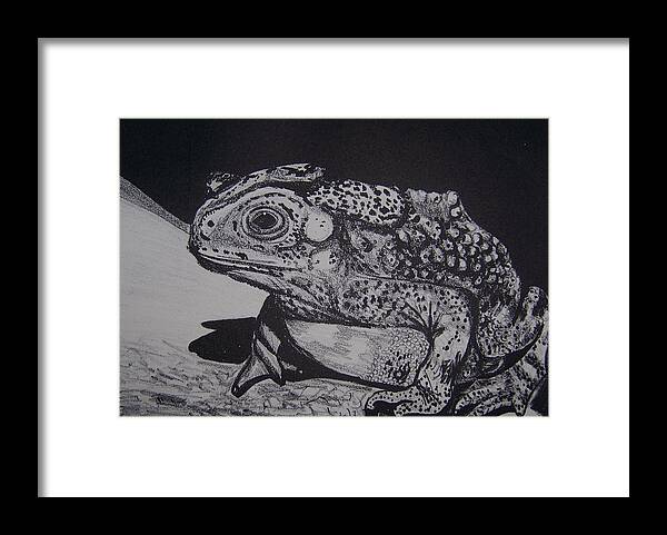Lithograph Framed Print featuring the mixed media Toad by Jude Labuszewski