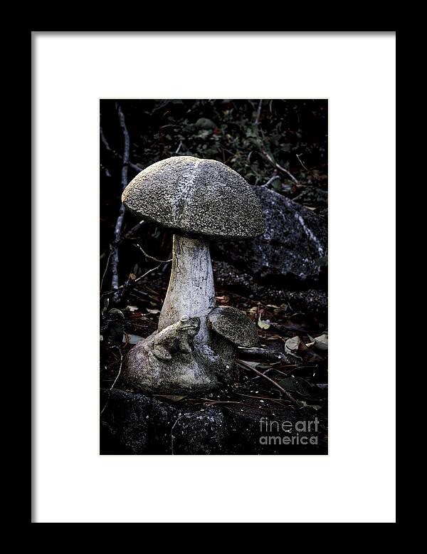 Toadstool Framed Print featuring the photograph Toadstool by Mitch Shindelbower