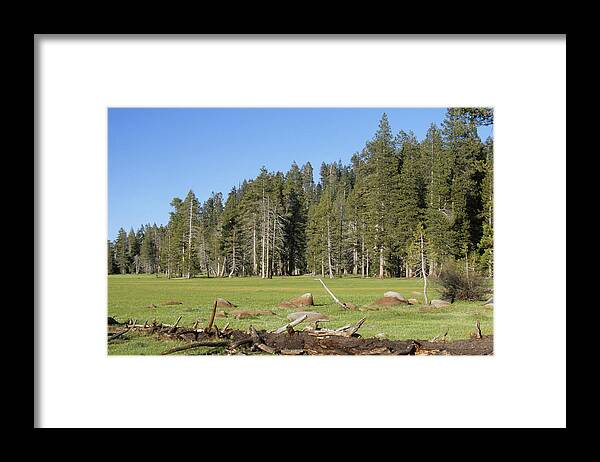 Tobias Meadow Framed Print featuring the photograph Tobias Meadow by Soli Deo Gloria Wilderness And Wildlife Photography