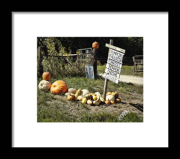 Harvest Framed Print featuring the photograph Today's Harvest by Cricket Hackmann