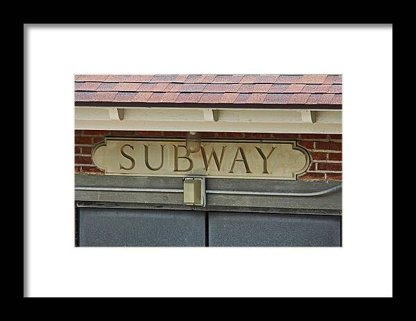 Toledo Framed Print featuring the photograph Toledo Zoo Subway II by Michiale Schneider