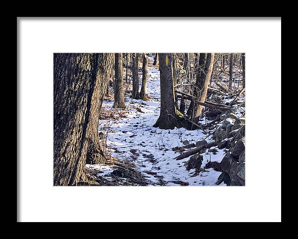 Trail Framed Print featuring the photograph Tom Paul Trail Winter by Frank Winters