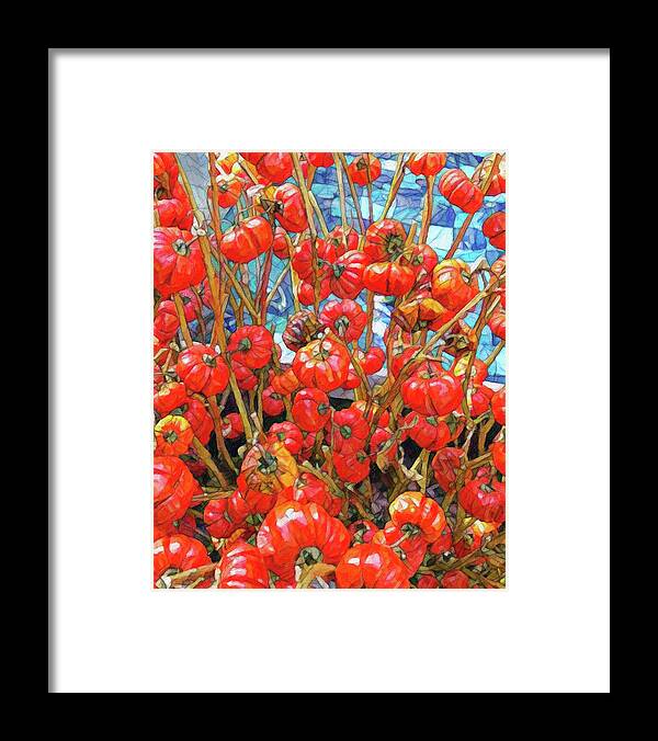 Tomato Framed Print featuring the digital art Tomato by Don Wright