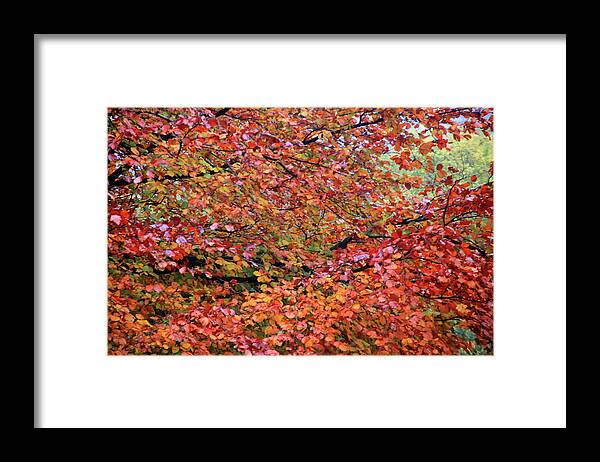 Hebden Framed Print featuring the photograph Too Soon For Fall by Jez C Self