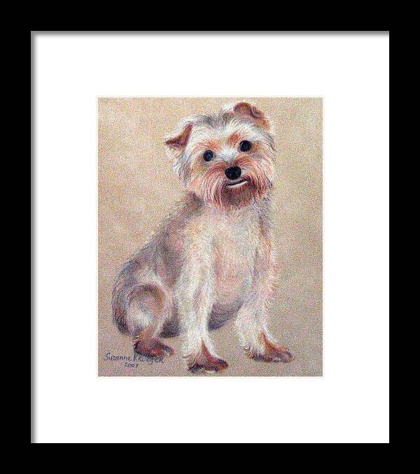 Yorkie Framed Print featuring the pastel Tootsie by Suzanne Krueger