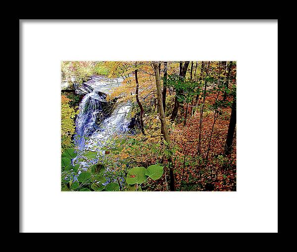 Nature Framed Print featuring the photograph Top of the Falls by Linda Carruth