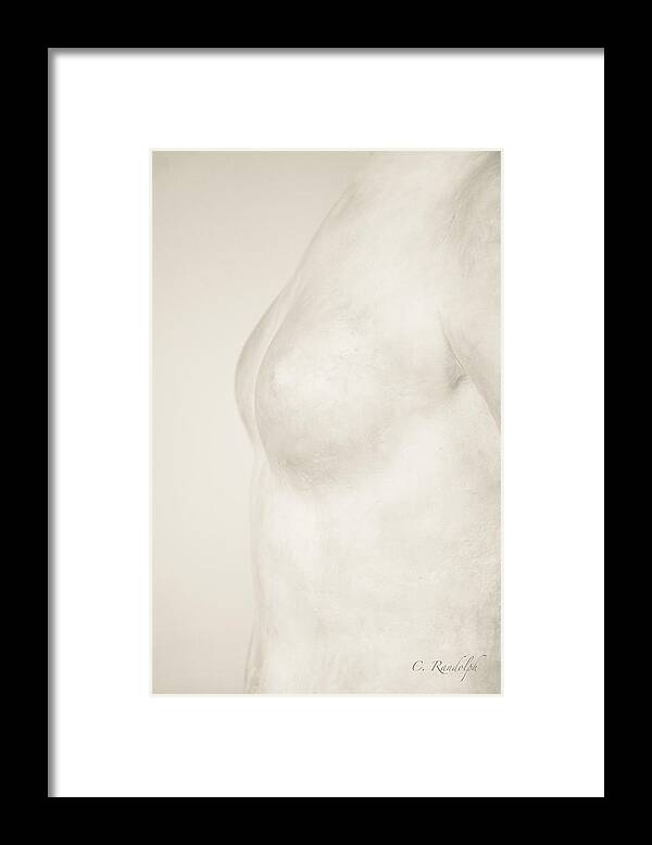 Nude Framed Print featuring the photograph Torso Suggested by Cheri Randolph