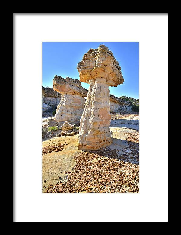 Grand Staircase Escalante National Monument Framed Print featuring the photograph Totem Pole by Ray Mathis