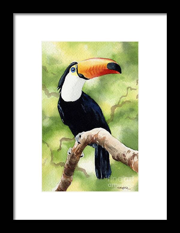 Toucan Framed Print featuring the painting Toucan by David Rogers