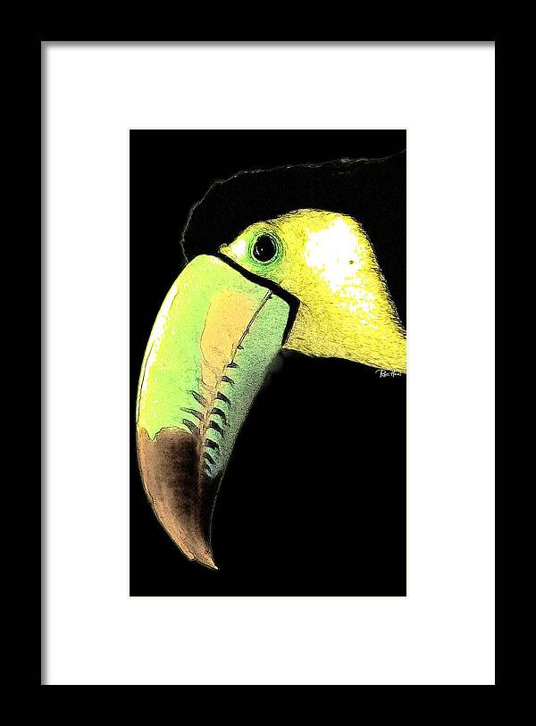 Bird Framed Print featuring the photograph Toucan Do It by Russ Harris