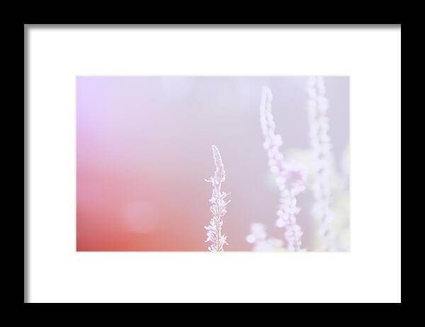 Light Framed Print featuring the photograph Touch of Light by Jaroslav Buna