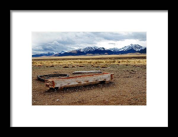 High Framed Print featuring the photograph Tough by Nicholas Blackwell