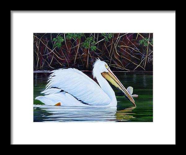 Pelican Framed Print featuring the painting Touring Pelican by Marilyn McNish