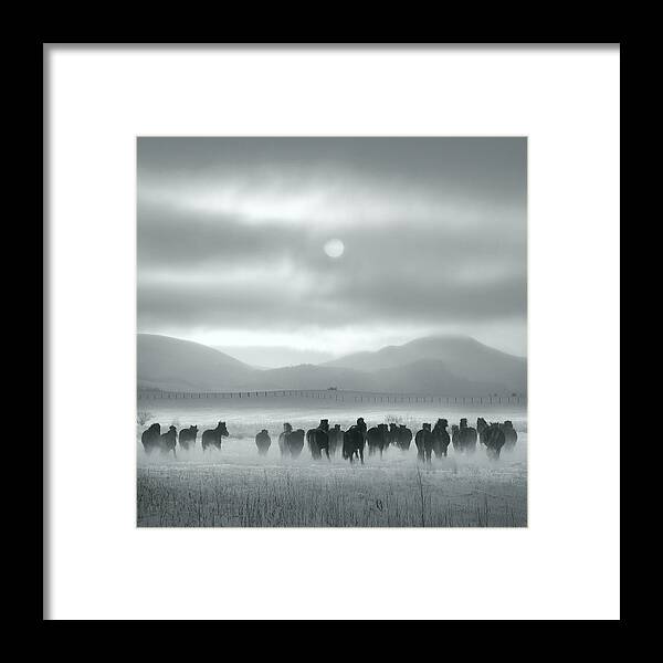 Sky Framed Print featuring the photograph Toward The Sun by Shu-guang Yang