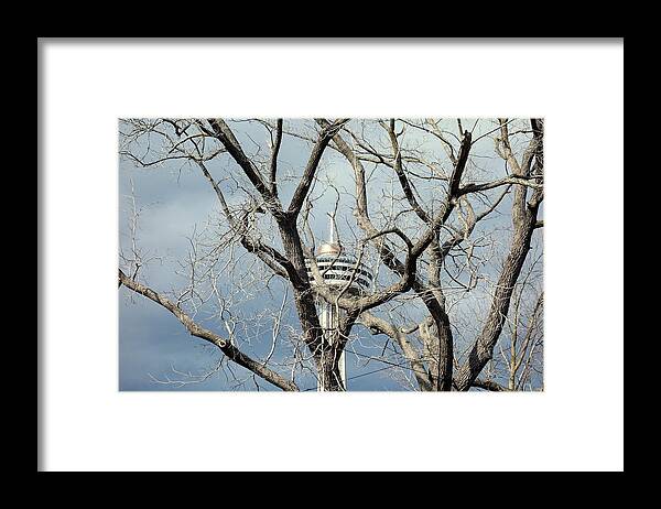 Skylon Framed Print featuring the photograph Tower and Trees by Valentino Visentini