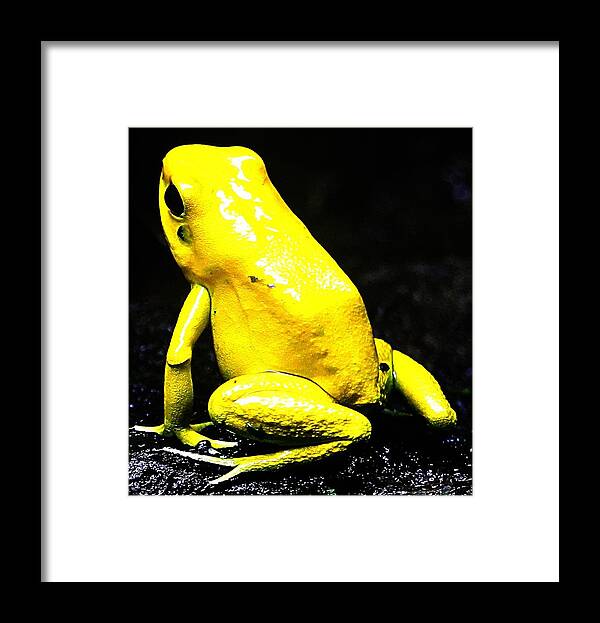 Frog Framed Print featuring the photograph Toxic by Kathleen Voort