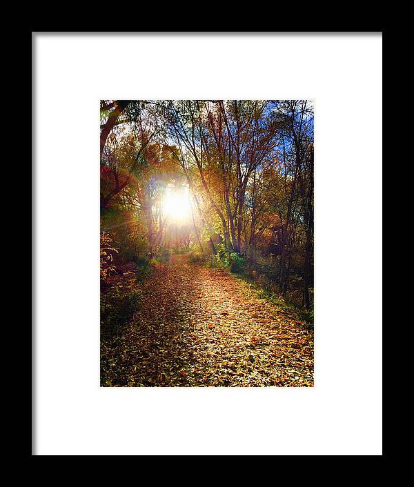 Fall Framed Print featuring the photograph Trail of Leaves by Juli Ellen