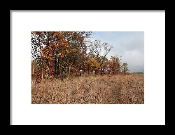 Grass Framed Print featuring the photograph Trail Through the Autumn Prairie by Scott Kingery