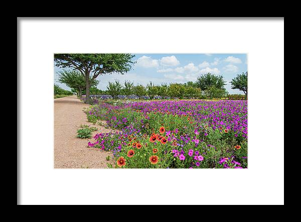 Texas Framed Print featuring the photograph Trailing Beauty by Lynn Bauer