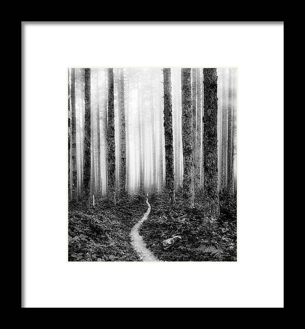 Best Framed Print featuring the photograph Tranquil Black and White 7 by Leland D Howard
