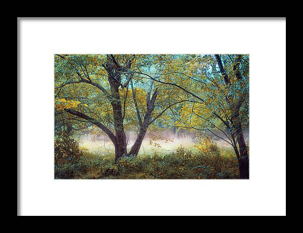 Tranquil Framed Print featuring the photograph Tranquil Dream by John Rivera