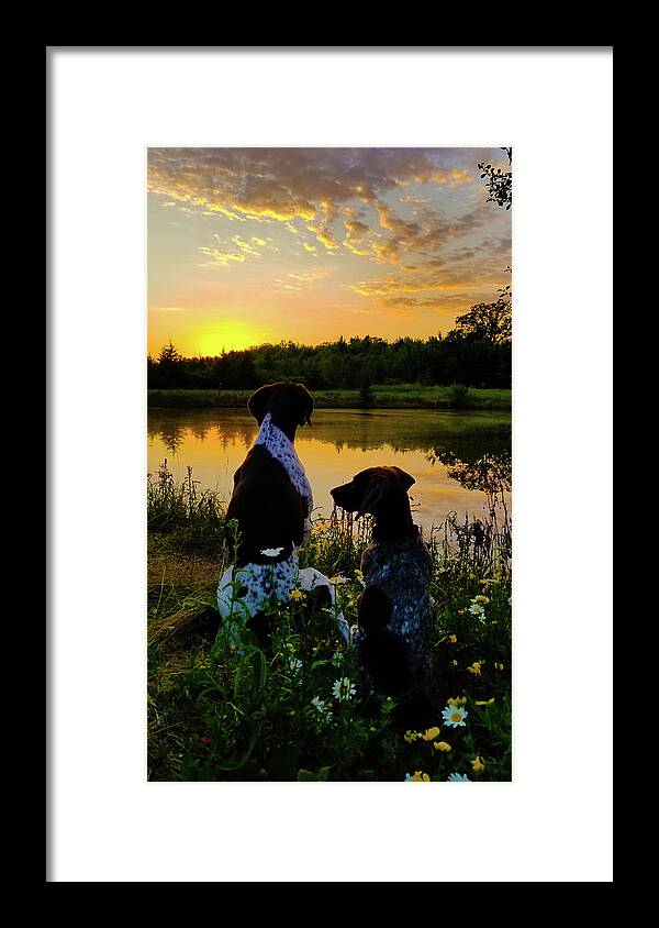 Gsp Framed Print featuring the photograph Tranquil Moment by Brook Burling