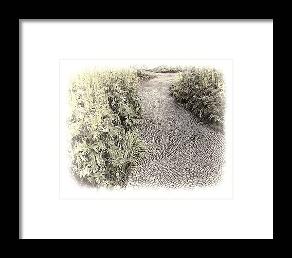 Path Framed Print featuring the photograph Tranquil Path - photo art by Ann Powell