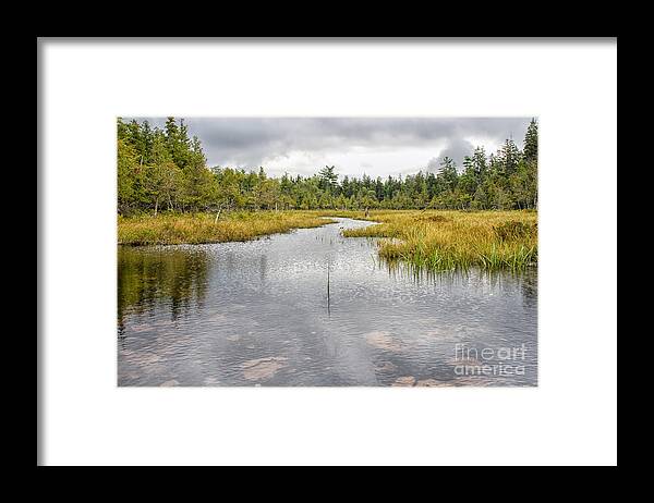 Background Framed Print featuring the photograph Tranquil pond by Patricia Hofmeester
