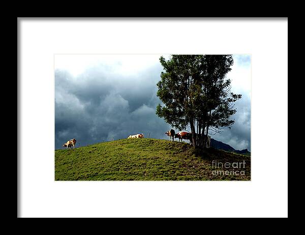 Michelle Meenawong Framed Print featuring the photograph Tranquility Before Storm by Michelle Meenawong