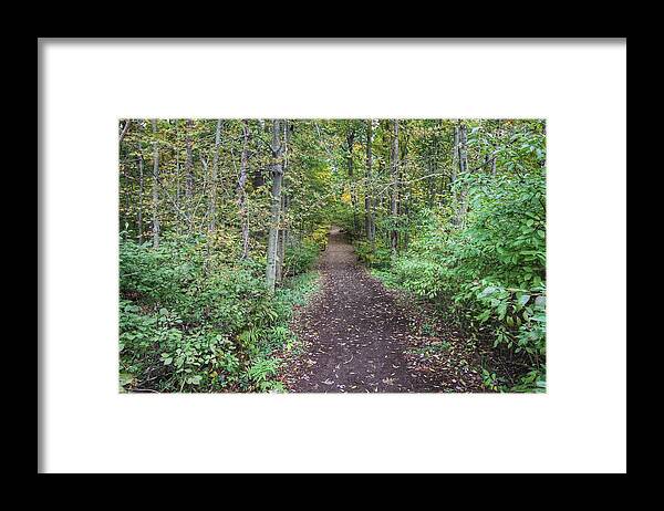 Tranquil Framed Print featuring the photograph Tranquility by Jackson Pearson