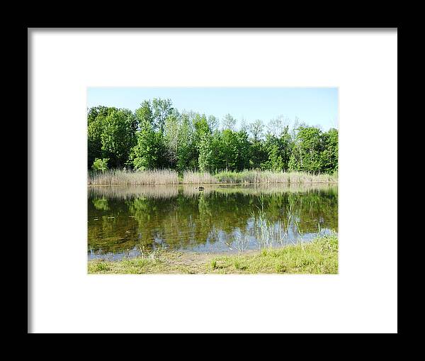 Nature Framed Print featuring the photograph Tranquility Reflected by Peggy King