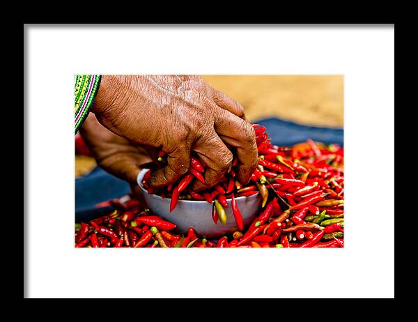 Asia Framed Print featuring the photograph Woman holding red chillies, Can Cau market, Sapa,Vietnam by Neil Alexander Photography