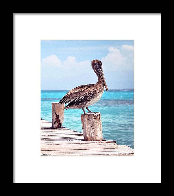 Beautiful Framed Print featuring the photograph Treasure Coast Pelican Pier Seascape C1 by Ricardos Creations